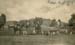 Calpi Hunt 1917 a